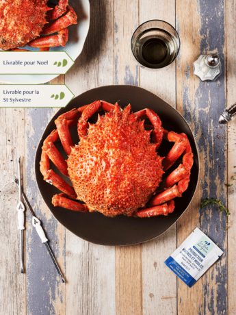 Araignée Femelle cuite par nos soins