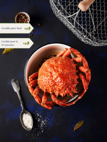 Araignée Femelle cuite par nos soins