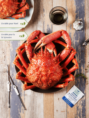 Araignée Mâle cuite par nos soins