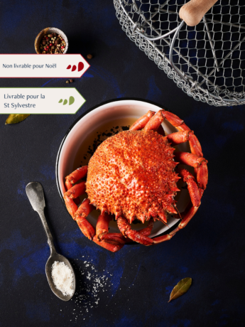 Araignée Femelle cuite par nos soins