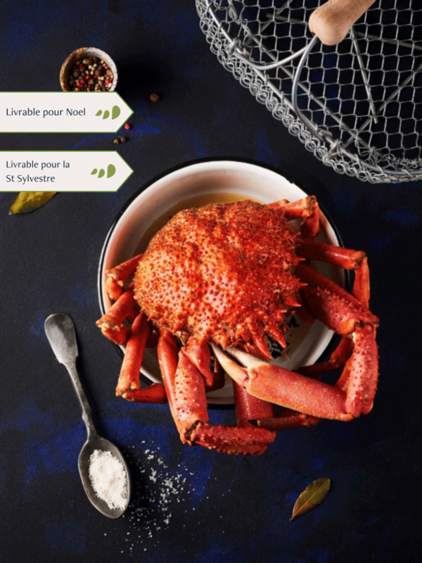 Araignée Mâle cuite par nos soins