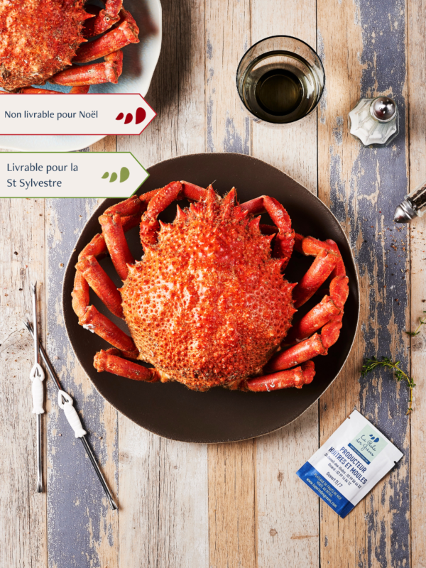 Araignée Femelle cuite par nos soins