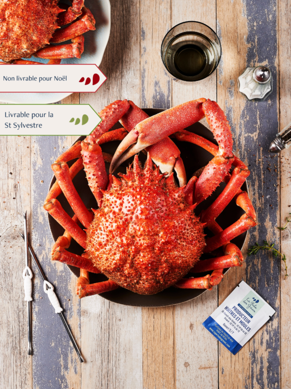 Araignée Mâle cuite par nos soins