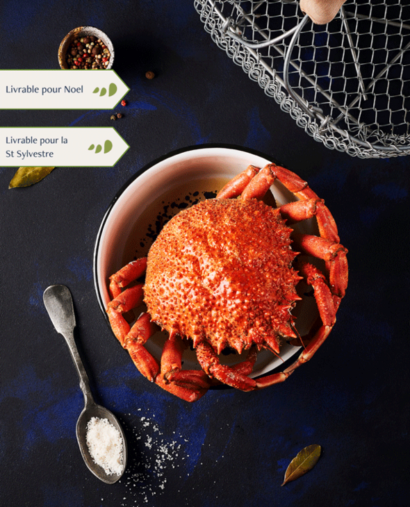 Araignée Femelle cuite par nos soins