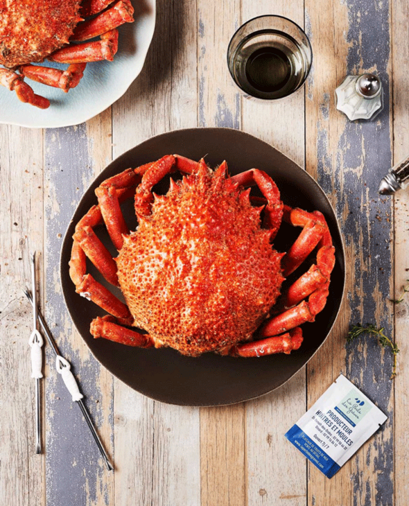 Araignée Femelle cuite par nos soins