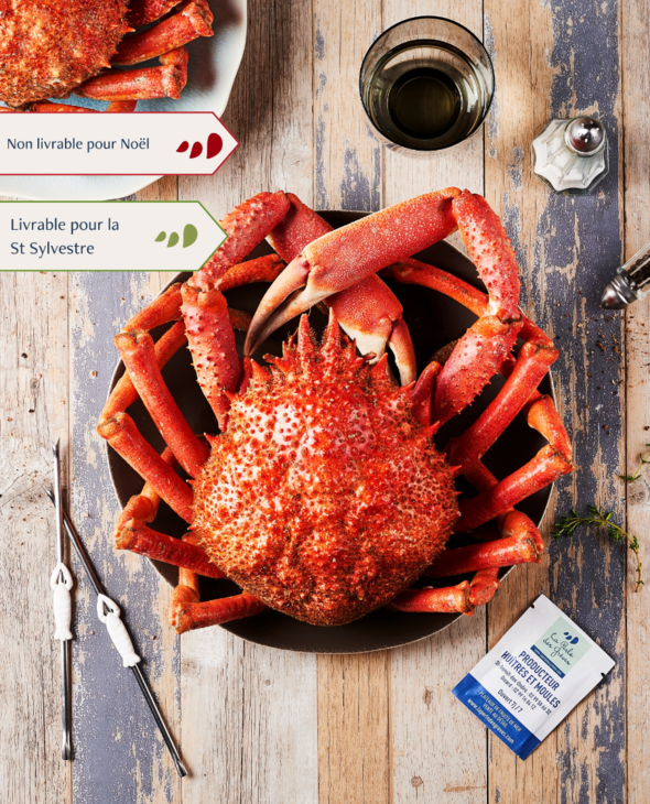 Araignée Mâle cuite par nos soins