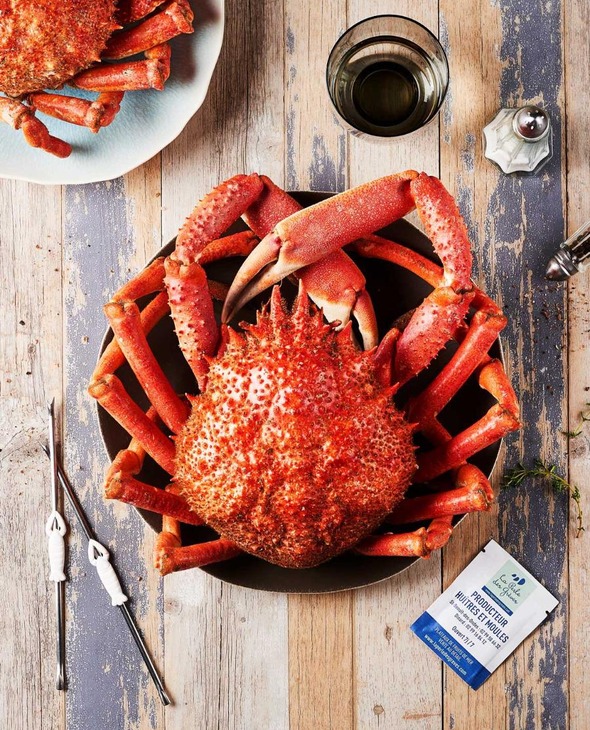 Araignée Mâle cuite par nos soins