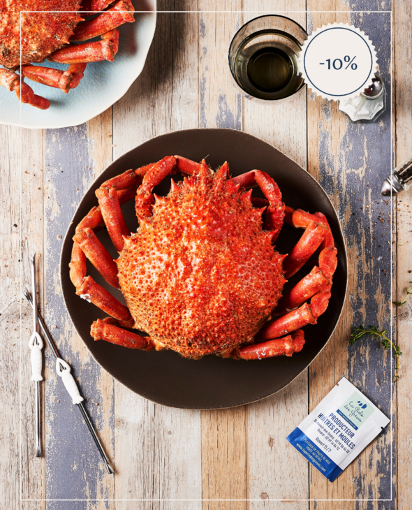 Araignée Femelle cuite par nos soins