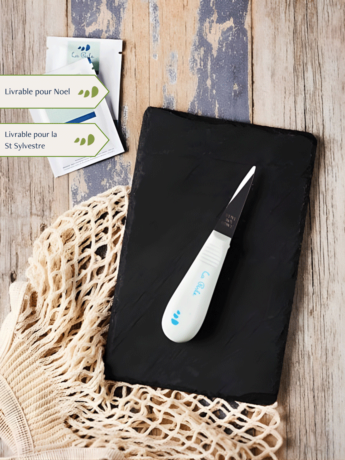 Couteau à huîtres à l'unité