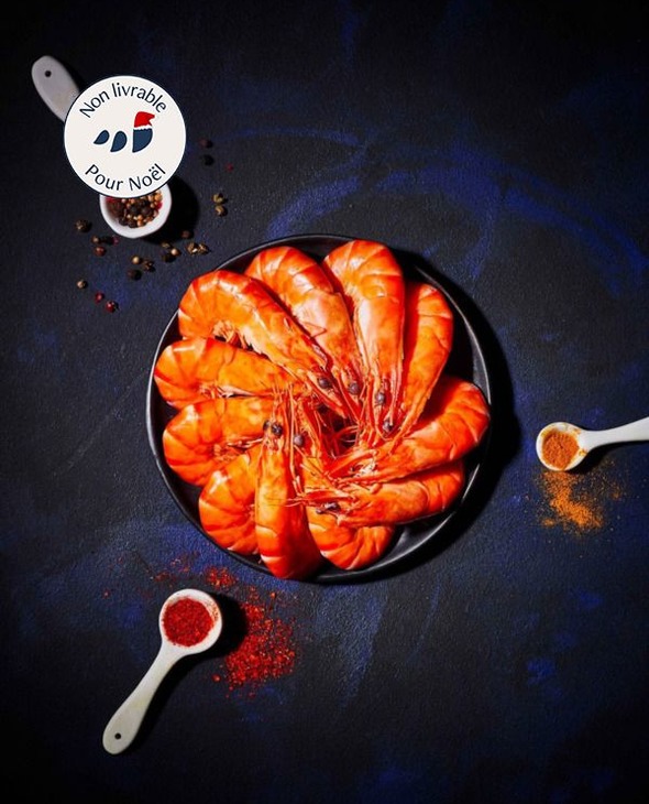 Gambas Bio