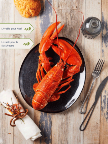 Homards cuits par nos soins