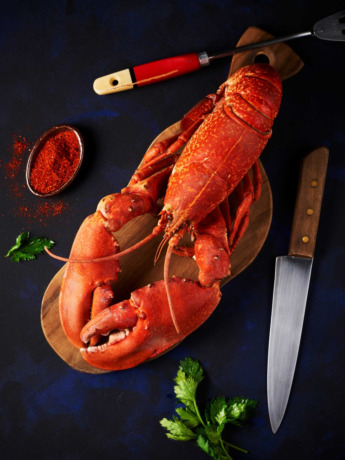 Homards cuits par nos soins
