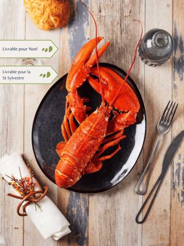 Homards cuits par nos soins
