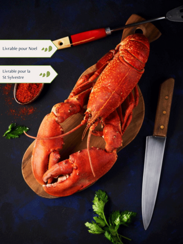 Homards cuits par nos soins