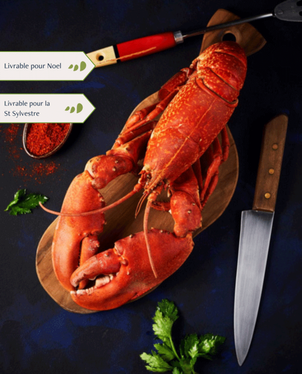 Homards cuits par nos soins