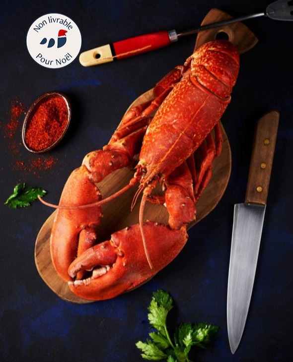 Homards cuits par nos soins