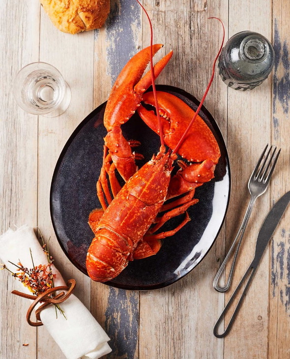 Homards cuits par nos soins
