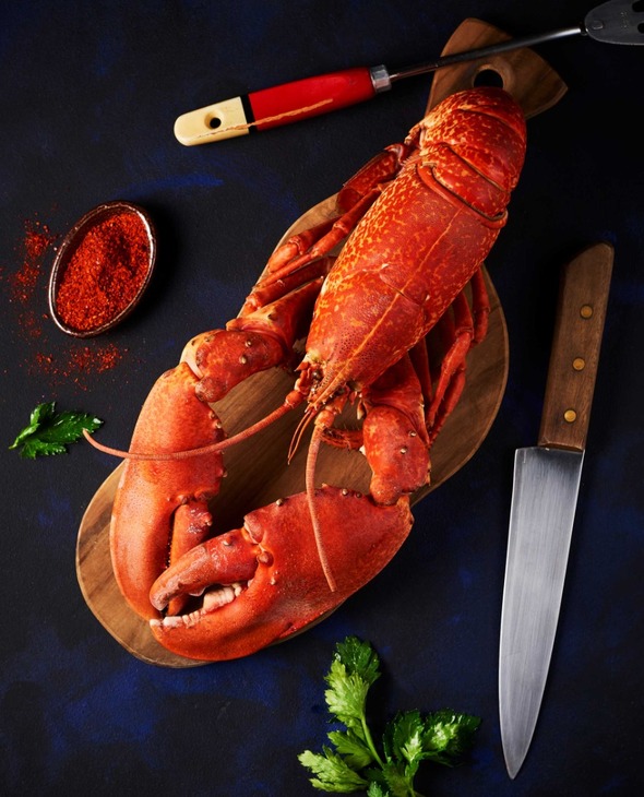 Homards cuits par nos soins