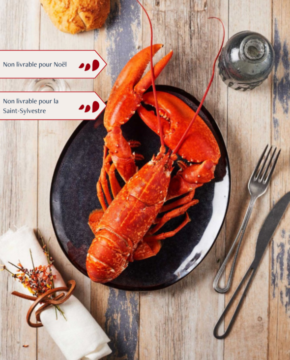 Homards cuits par nos soins