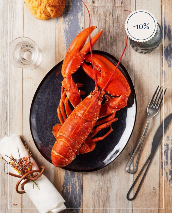 Homards cuits par nos soins