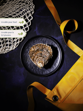 Huîtres plates très très grosses