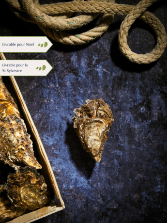 Bourriche d'Huitres de pleine mer de Quiberon n°2