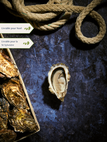 Bourriche d'Huitres de pleine mer de Quiberon n°3