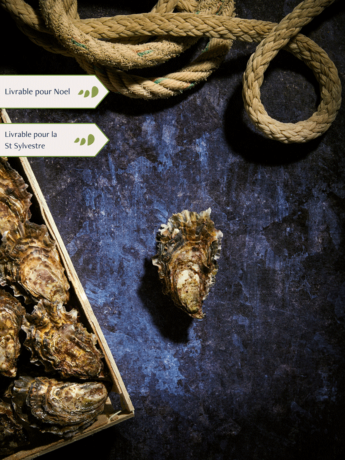 Bourriche d'Huitres de pleine mer de Quiberon n°4