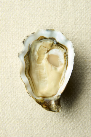 Charles Beaulieu - La Réserve Spéciale 