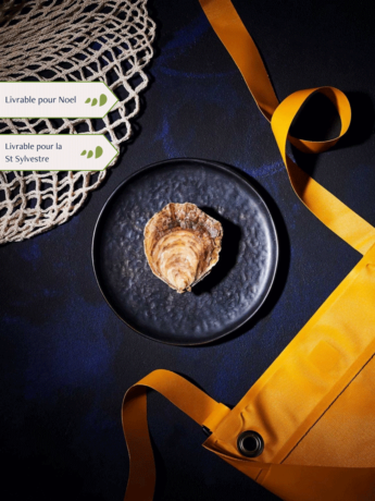 Huîtres Plates moyennes