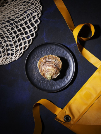 Huîtres Plates grosses