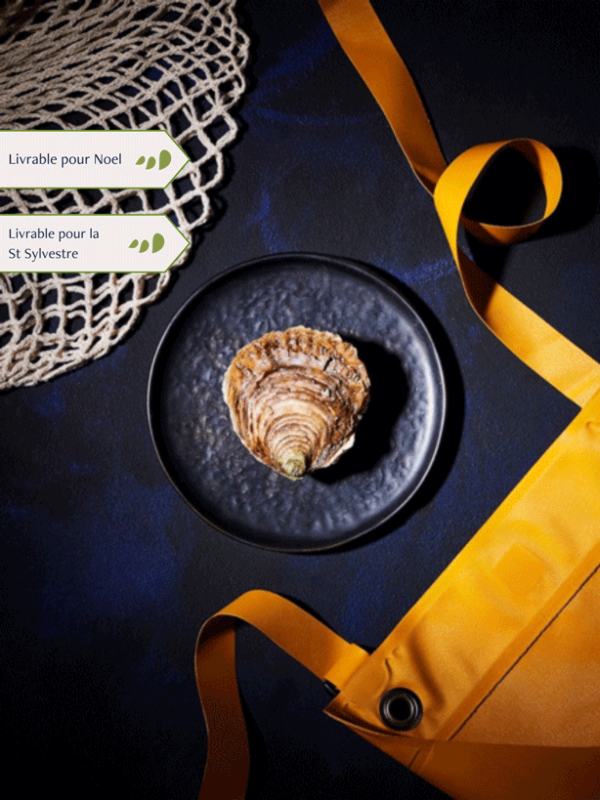 Huîtres Plates grosses