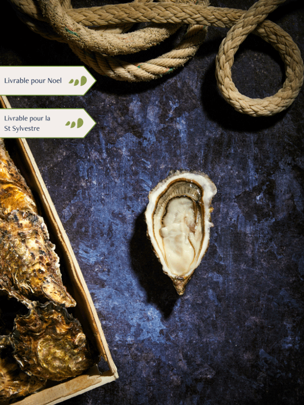 Bourriche d'Huitres de pleine mer de Quiberon n°2