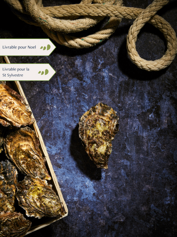 Bourriche d'Huitres de pleine mer de Quiberon n°3