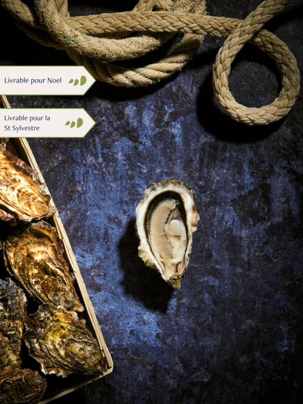 Bourriche d'Huitres de pleine mer de Quiberon n°3