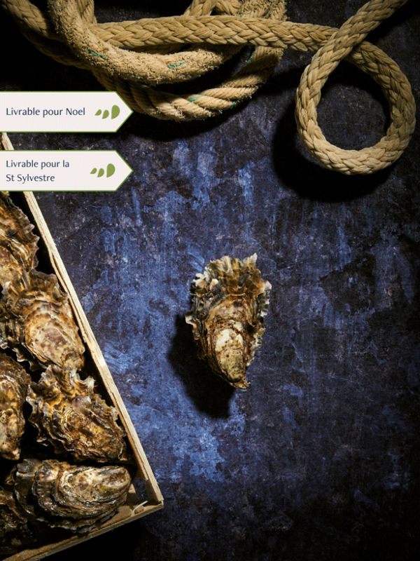 Bourriche d'Huitres de pleine mer de Quiberon n°4