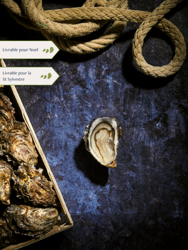 Bourriche d'Huitres de pleine mer de Quiberon n°4