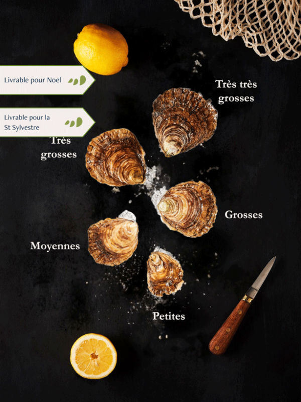 Huîtres Plates petites