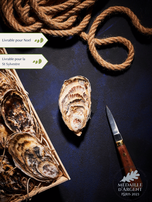 Bourriche d'Huitres creuses de Cancale n°3