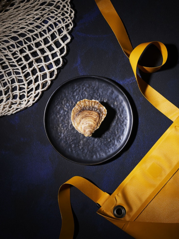 Huîtres Plates petites