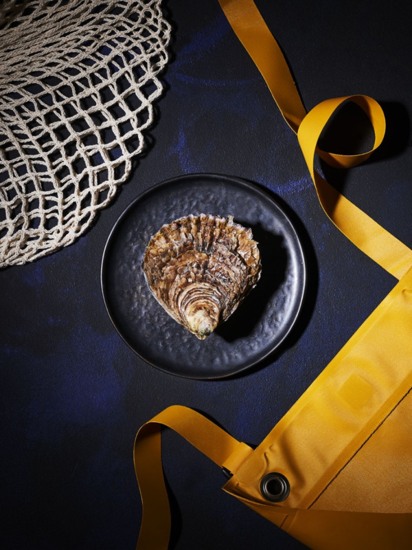 Huîtres plates très très grosses