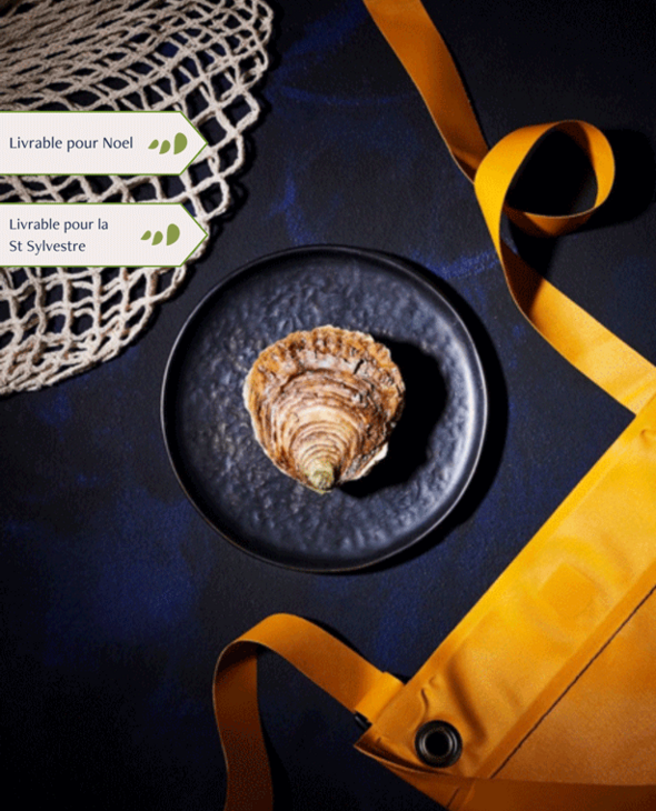 Huîtres Plates grosses