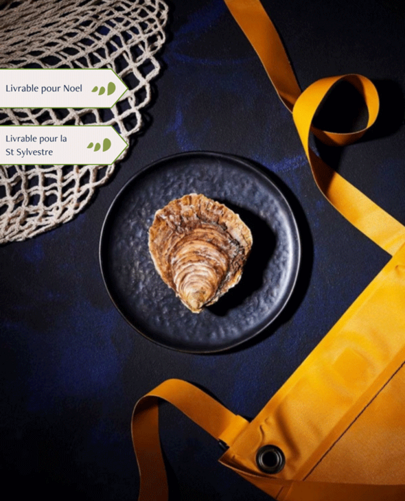 Huîtres Plates très grosses