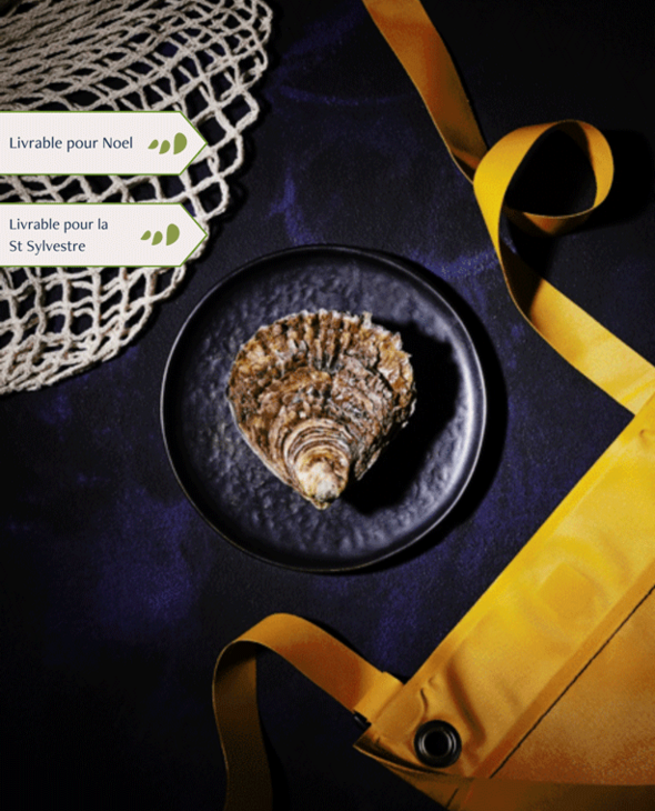 Huîtres plates très très grosses