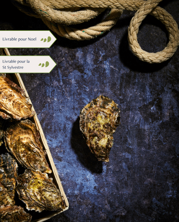 Bourriche d'Huitres de pleine mer de Quiberon n°3