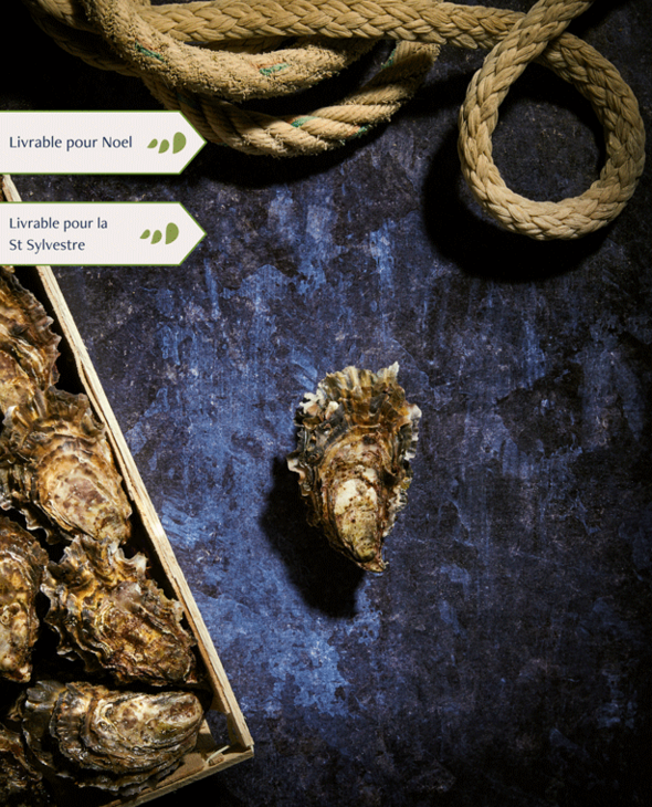 Bourriche d'Huitres de pleine mer de Quiberon n°4