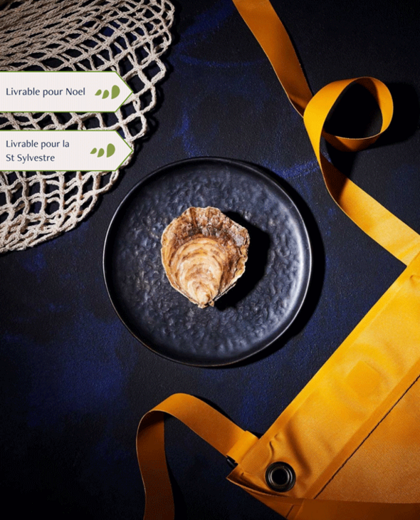 Huîtres Plates moyennes