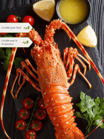 Langouste royale cuite par nos soins