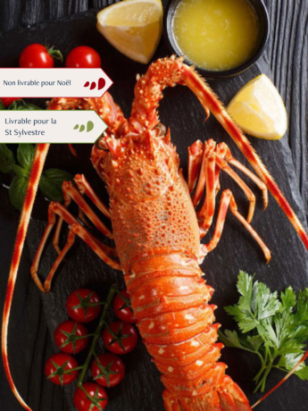 Langouste royale cuite par nos soins