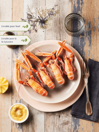 Langoustines grosses cuites par nos soins